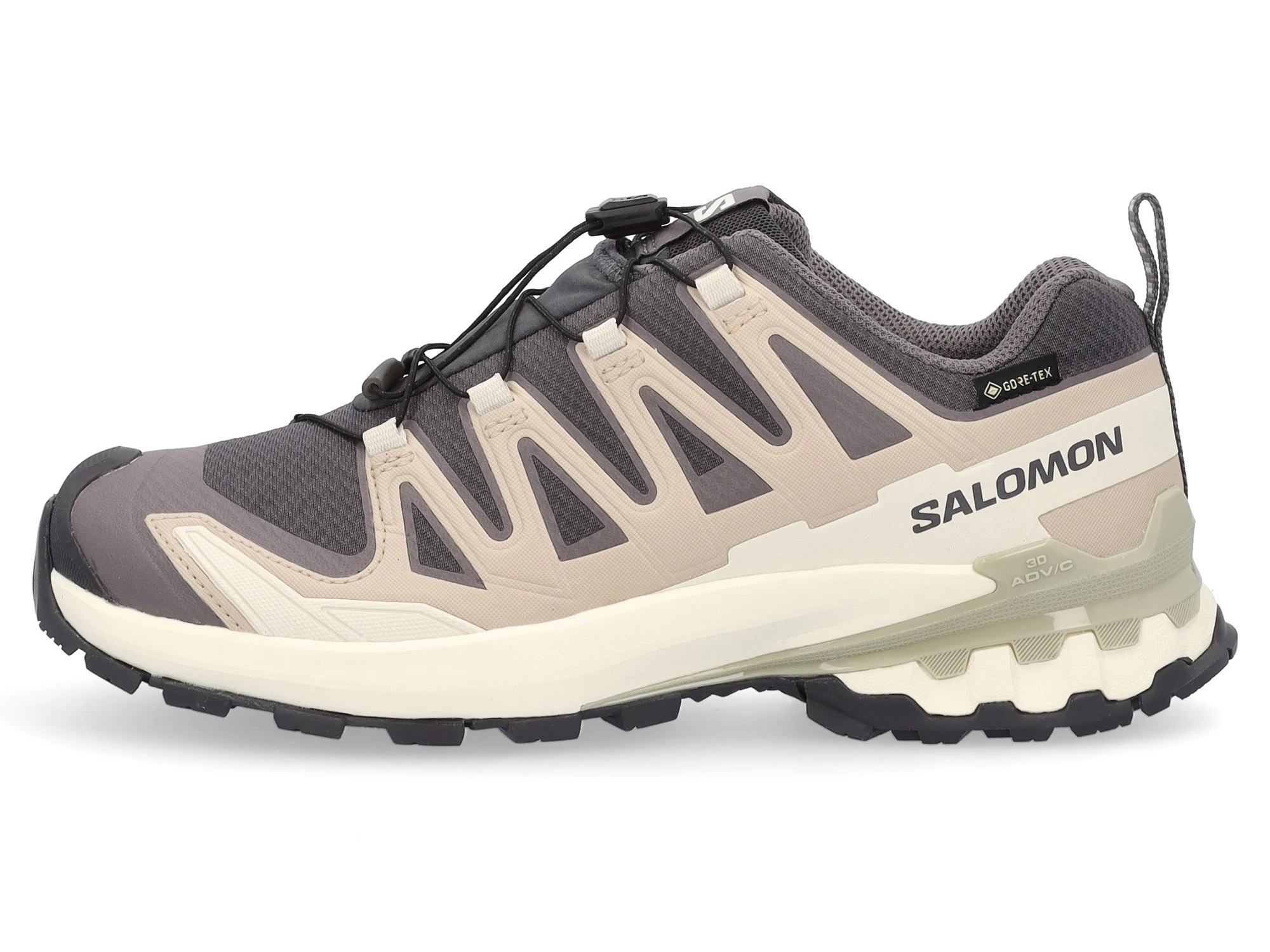 Salomon XA PRO 3D V9 GTX W