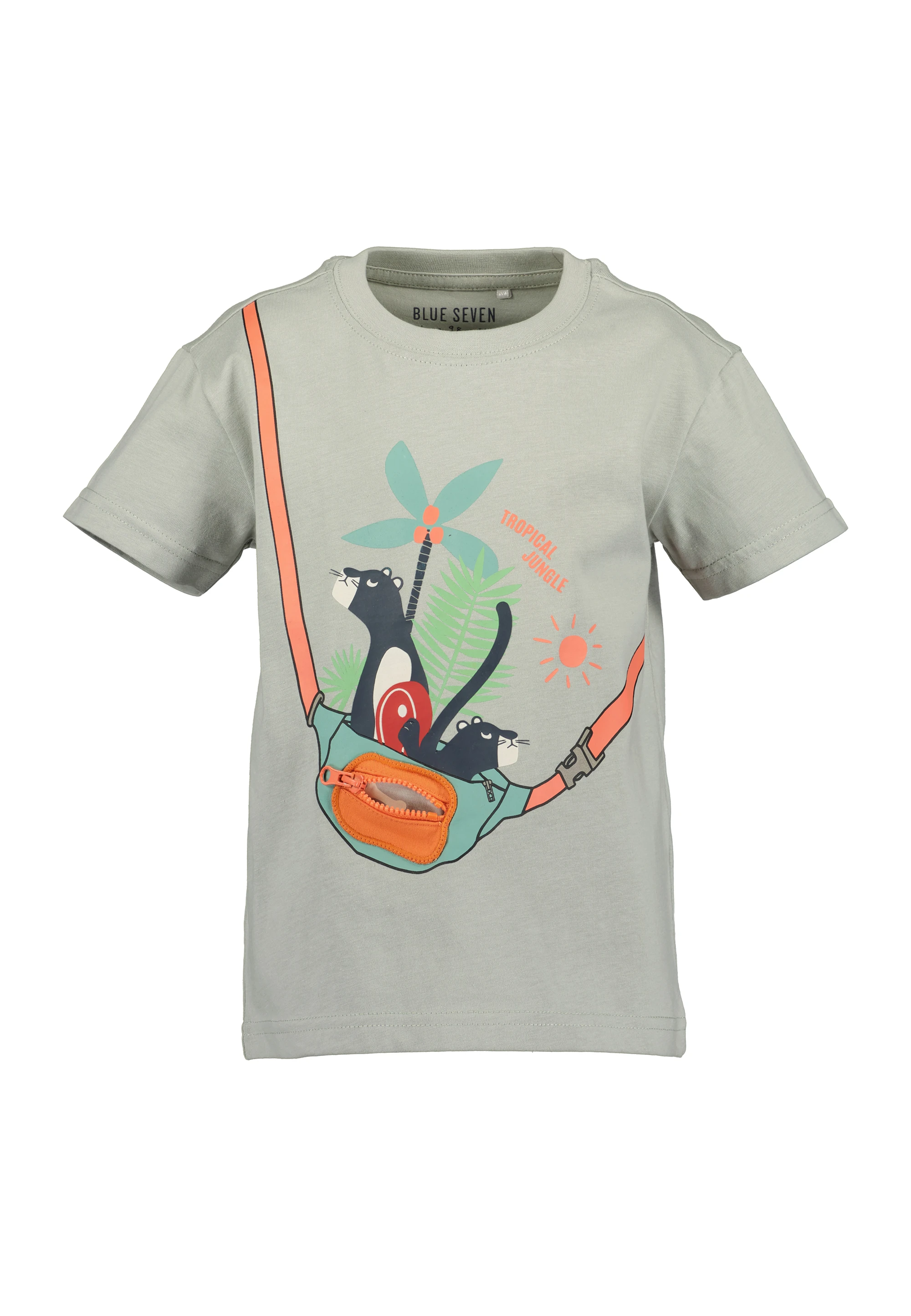 immagine carosello