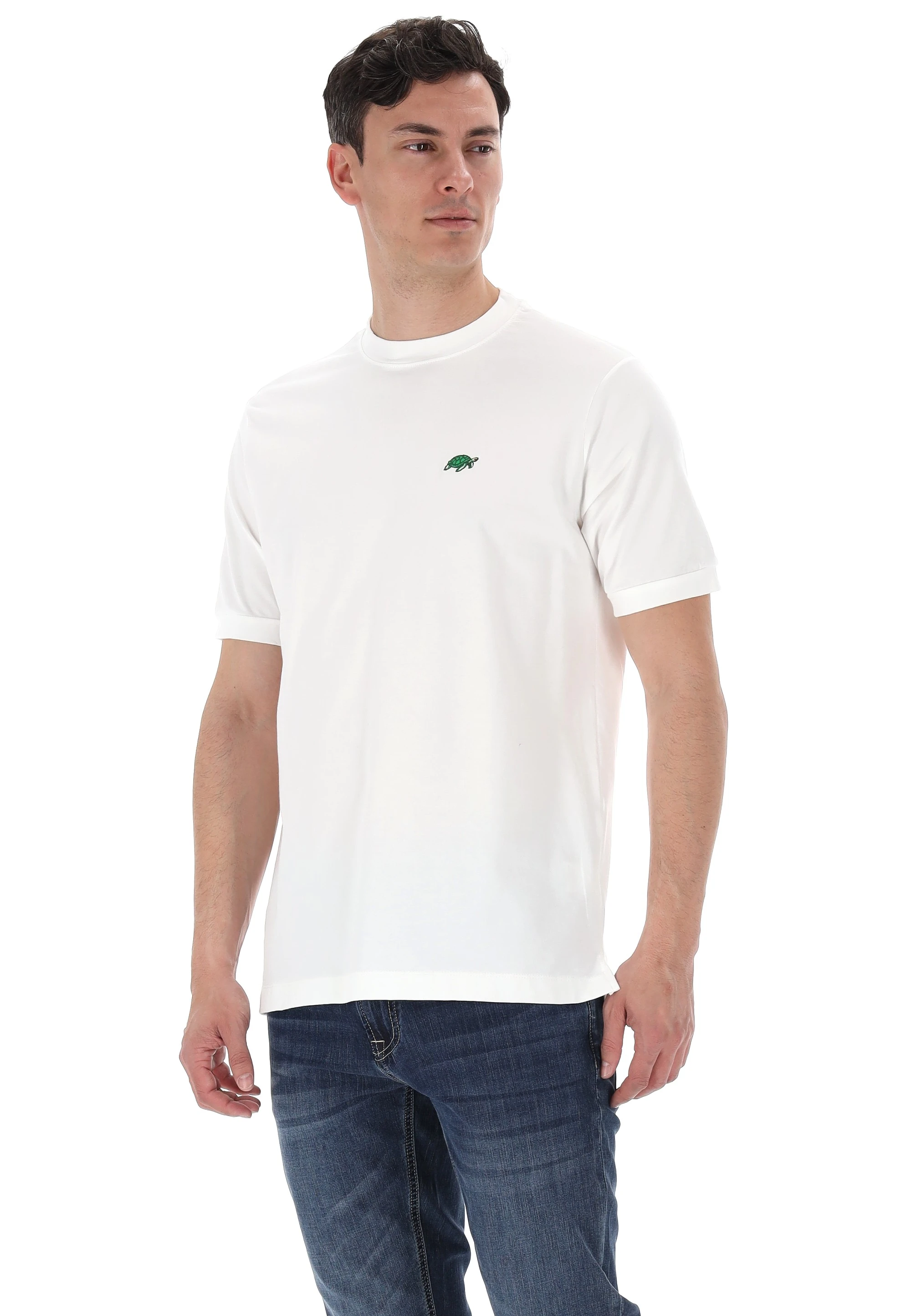 immagine carosello